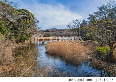 Lake Ippeki in Ito City (Shizuoka Prefecture) Lake Ippeki in Ito City (Shizuoka Prefecture) 126212277