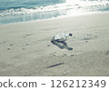 A bottle washed up on the beach and the shining water's edge 126212349
