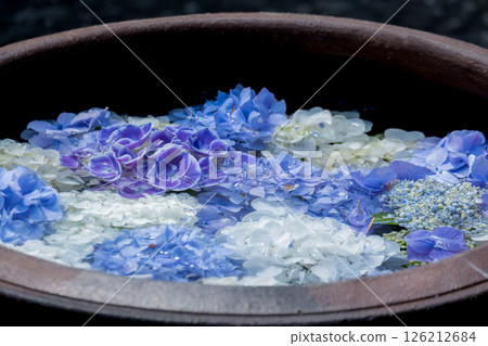 繡球花瓣漂浮在水碗中，令人耳目一新 126212684