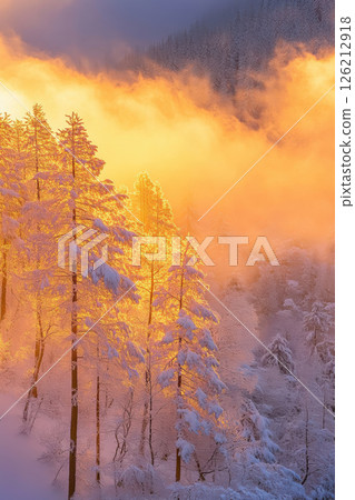 winter landscape sunset trees mountains sun 126212918