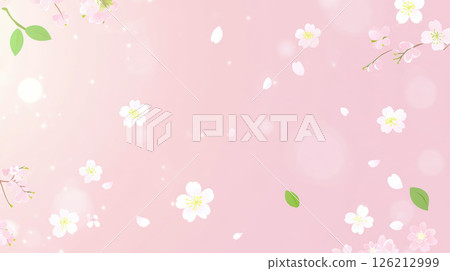 depiction cherry blossoms background stages petals 126212999