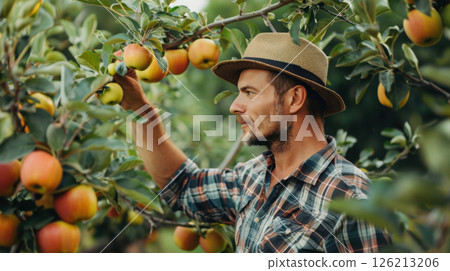 man plaid shirt straw hat apples 126213206
