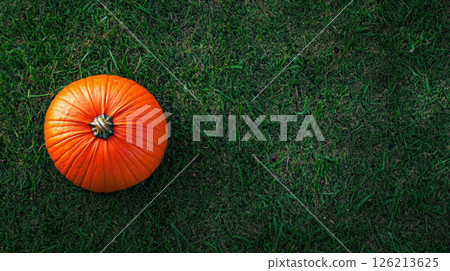 view grass topdown green lawn orange view grass topdown green lawn orange 126213625