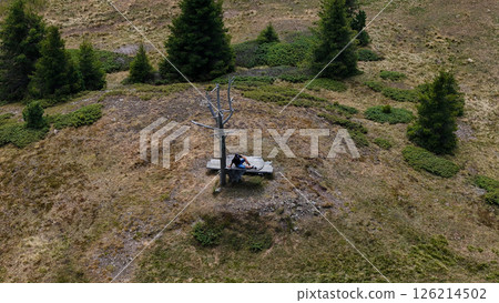 Meditative solitude on a mountain landscape surrounded by lush greenery and towering trees during a sunny day Meditative solitude on a mountain landscape surrounded by lush greenery and towering trees during a sunny day 126214502