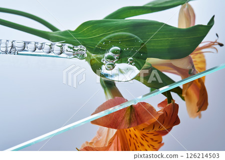 A pipette with a beautiful drop of serum on a background of lily flowers. A pipette with a beautiful drop of serum on a background of lily flowers. 126214503