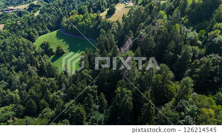 Embracing the tranquility of dense green forests and open meadows in a serene rural landscape during the bright afternoon Embracing the tranquility of dense green forests and open meadows in a serene rural landscape during the bright afternoon 126214545