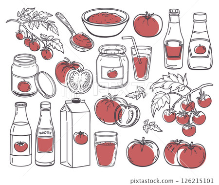 Various tomatoes and tomato products set. Tomato juice, fresh tomatoes, ketchup, tomato paste and ingredients. Hand drawn sketch illustration. 126215101
