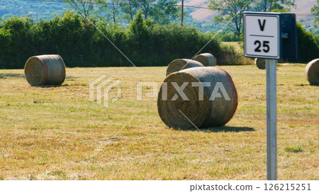 Rolling hay bales dotting the tranquil countryside landscape near V 25 in summer's warm sunlight Generative AI Rolling hay bales dotting the tranquil countryside landscape near V 25 in summer's warm sunlight Generative AI 126215251