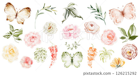 Hand-drawn watercolor illustrations featuring diverse flowers, leaves, and insects. Includes isolated floral elements and arrangements for design projects. Suitable for greeting cards, invitations. 126215292