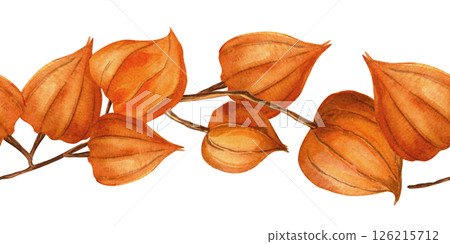 Chinese lantern, goldenberry seamless border. Autumn bordure of physalis, winter cherry, Inka berry, gooseberry twigs. Perfect for seasonal arrangement, home textile, interior fabrics, banner, print 126215712