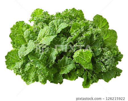 Vibrant bunch of fresh kale, showcasing its deep green color and textured leaves.  Perfect for healthy eating, cooking, or representing concepts of wellness, nature, and abundance. 126215922