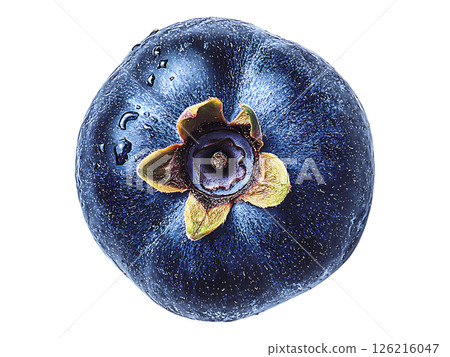 Closeup of a single, ripe blueberry with water droplets, showcasing its vibrant blue hue and intricate details. 126216047