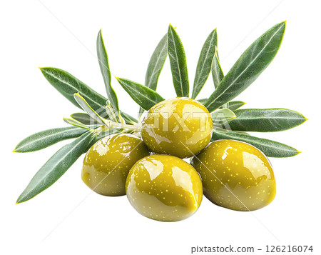Closeup of vibrant green olives on a branch, glistening with freshness.  A symbol of health, abundance, and Mediterranean cuisine. Perfect for food blogs, recipe websites, or packaging design. 126216074