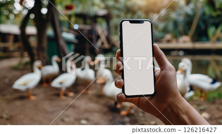 mockup phone copy space in hand with duck farm 126216427