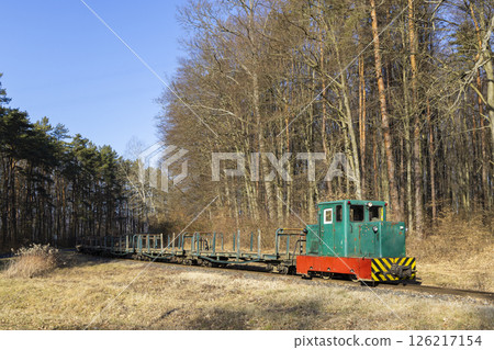 Narrow gauge railway transporting timber in Zala County, Hungary 126217154