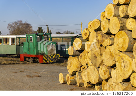 Narrow gauge railway transporting logs in Csomoder, Zala County, Hungary Narrow gauge railway transporting logs in Csomoder, Zala County, Hungary 126217260