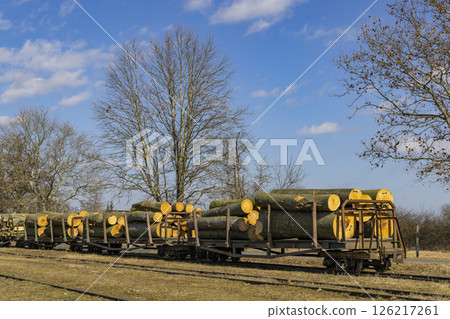 Train carrying logs in a rural landscape during daytime Train carrying logs in a rural landscape during daytime 126217261