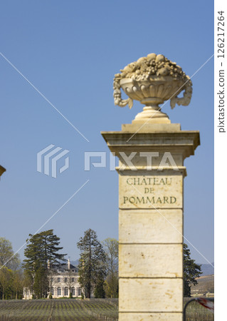 Chateau de Pommard winery entrance with sculpted pillar and vineyard in Burgundy, France Chateau de Pommard winery entrance with sculpted pillar and vineyard in Burgundy, France 126217264