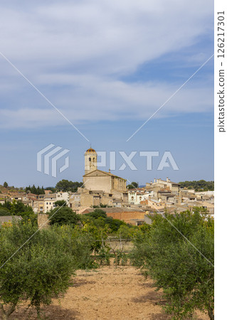 Blancafort skyline rising over olive grove in Catalonia, Spain Blancafort skyline rising over olive grove in Catalonia, Spain 126217301