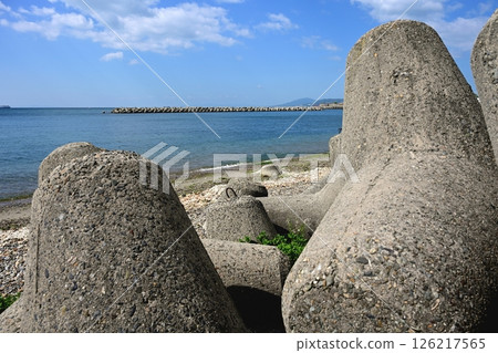 特波拉波特 126217565