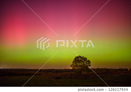 Stunning aurora borealis lights up the night sky with vibrant colors, creating a mesmerizing natural display in the Lithuania fields 10 11 2024 Stunning aurora borealis lights up the night sky with vibrant colors, creating a mesmerizing natural display in the Lithuania fields 10 11 2024 126217934