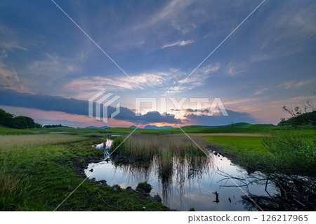 Exactly three months after the mountain burning, the evening scenery of the Soni Plateau is covered in fresh Japanese silver grass. From the sunset to the beautiful sunset sky. Exactly three months after the mountain burning, the evening scenery of the Soni Plateau is covered in fresh Japanese silver grass. From the sunset to the beautiful sunset sky. 126217965