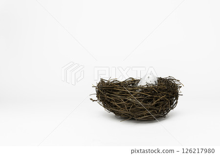 Bird nest on white background. International bird day. Breeding ground. INTERNATIONAL HERITAGE BREEDS DAY 126217980