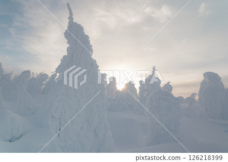 Winter Zao Winter Zao 126218399