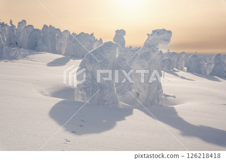 Winter Zao Winter Zao 126218418