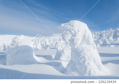 Winter Zao 126218434