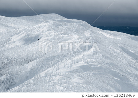 Winter Zao Winter Zao 126218469