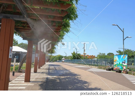 Scenery of a walkway covered in mist 126218513