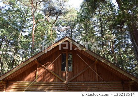 Log house built in the forest 126218514