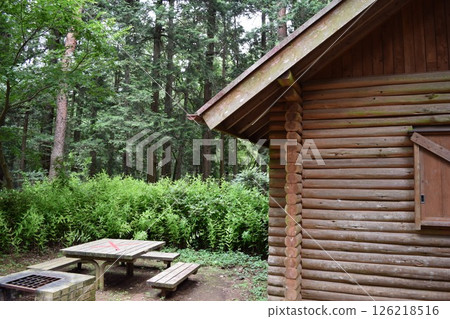 Log house built in the forest Log house built in the forest 126218516