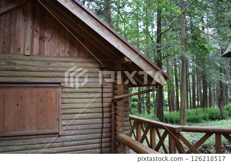 Log house built in the forest 126218517