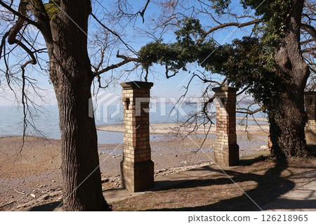 A beach with a brick wall and a tree A beach with a brick wall and a tree 126218965