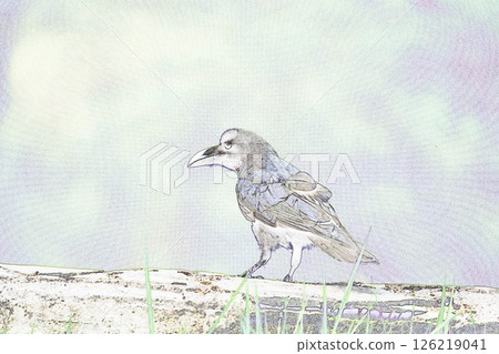 《腐屍烏鴉》《野鳥》插圖 126219041