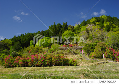 Sakuranago no Sato 126219082