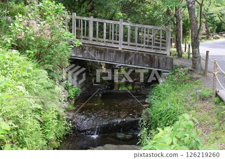 A small bridge over the Meigetsu River (Yamanouchi, Kamakura City, Kanagawa Prefecture) 126219260