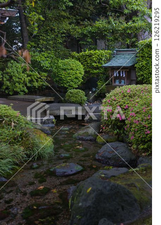 Japanese garden with a river Japanese garden with a river 126219295