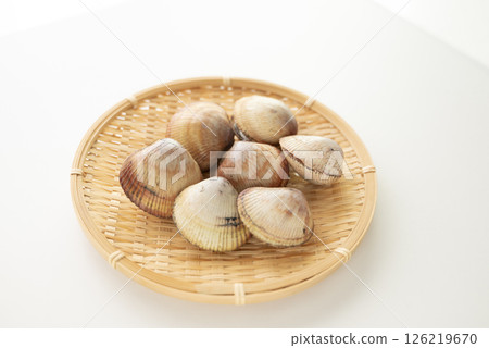 Sushi topping: cockle 126219670