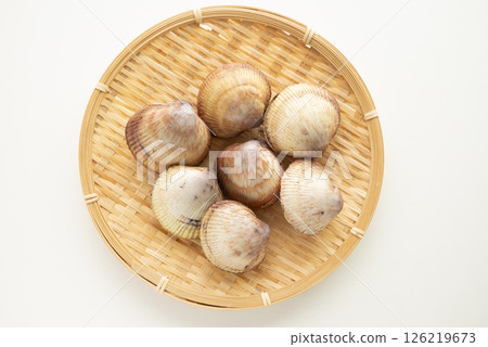 Sushi topping: cockle 126219673