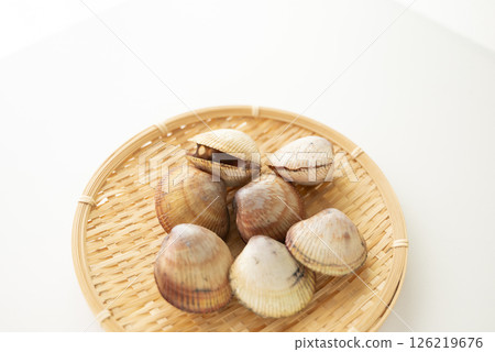 Sushi topping: cockle 126219676