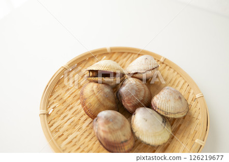Sushi topping: cockle 126219677