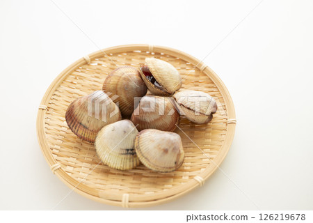 Sushi topping: cockle 126219678