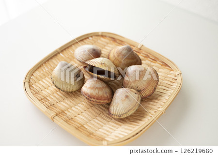 Sushi topping: cockle 126219680