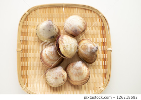 Sushi topping: cockle 126219682
