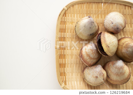 Sushi topping: cockle 126219684