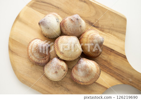 壽司配料：鳥蛤 126219690