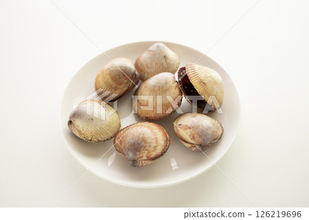 Sushi topping: cockle 126219696